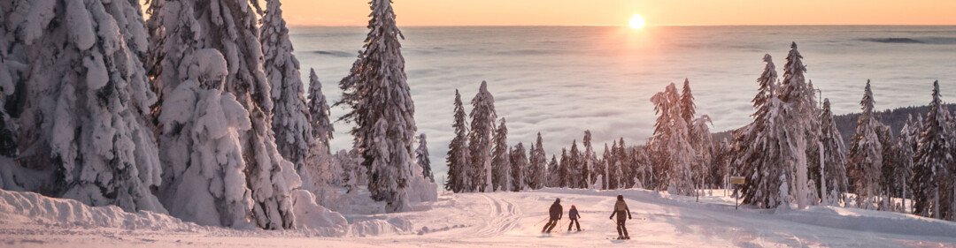 © Oberösterreich Tourismus GmbH / Moritz Ablinger © Oberösterreich Tourismus GmbH / Moritz Ablinger