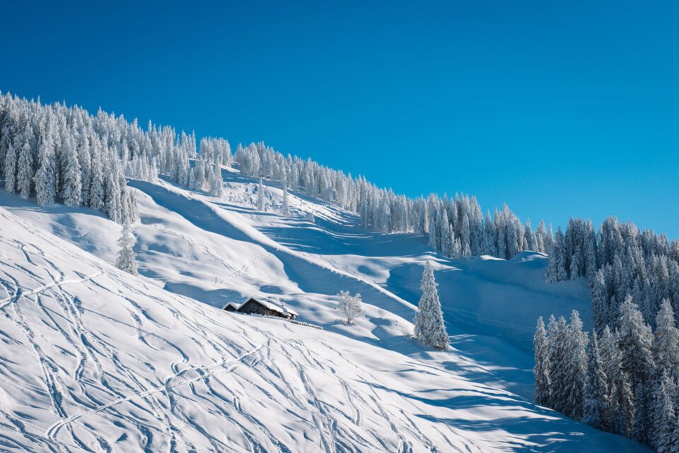 © Ski amadé © Ski amadé