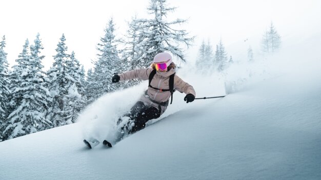 Protective gear for skiing