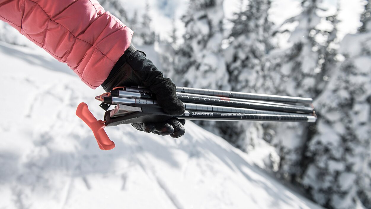 All you need to know about avalanche probes INTERSPORT Rent