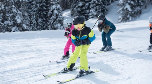 Porte-skis - Sangle de transport pour skis et bâtons de ski - Matériel de  Sports