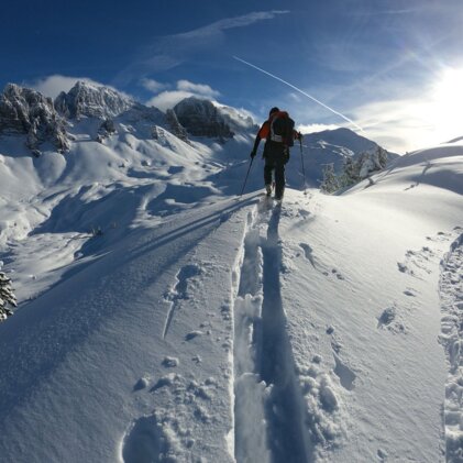 Ski touring in Austria, Switzerland and France