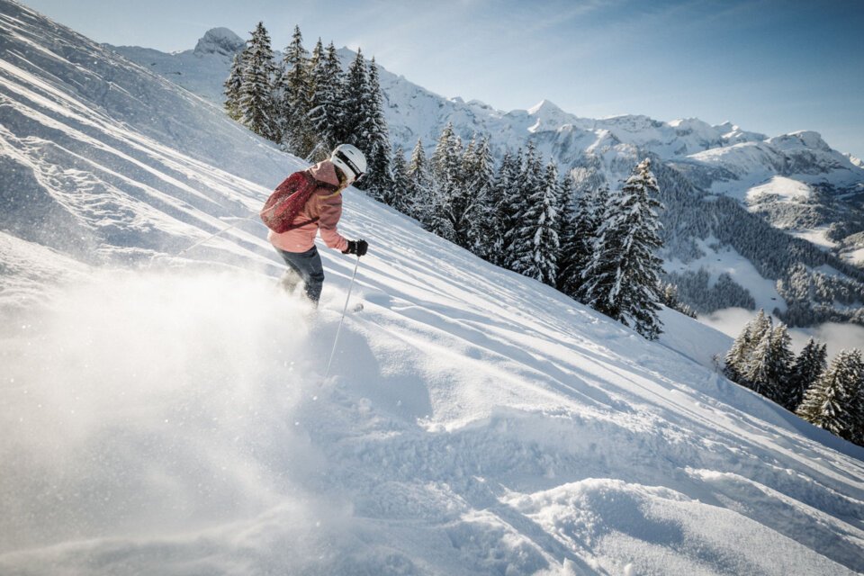 © Adelboden-Lenk