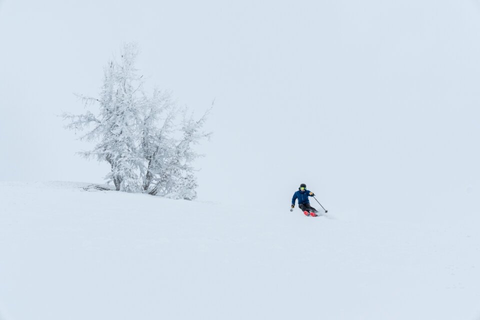 Skier next to a frosty tree in a snowy landscape.