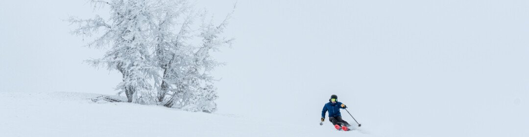 Skiër naast een bevroren boom in een besneeuwd landschap.