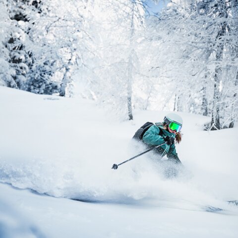 Skieuse taillant des virages dans la poudreuse parmi des arbres enneigés | © Atomic Austria GmbH