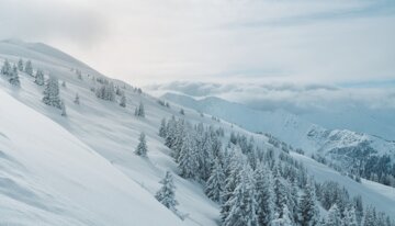Paysage de montagne enneigé avec des arbres