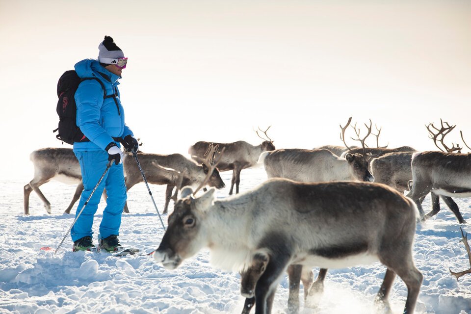 © Elina Sirparanta | Visit Finnland