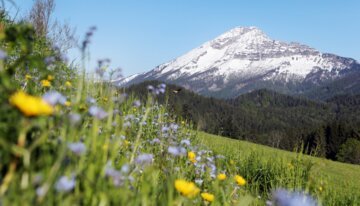 Lackenhof Sommer | © © Mostviertel Tourismus GmbH