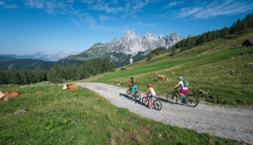 Velo hotsell chez intersport