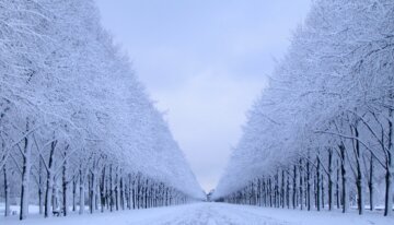 Niedersachsen Winter | © https://www.flickr.com/photos/74946477@N00/